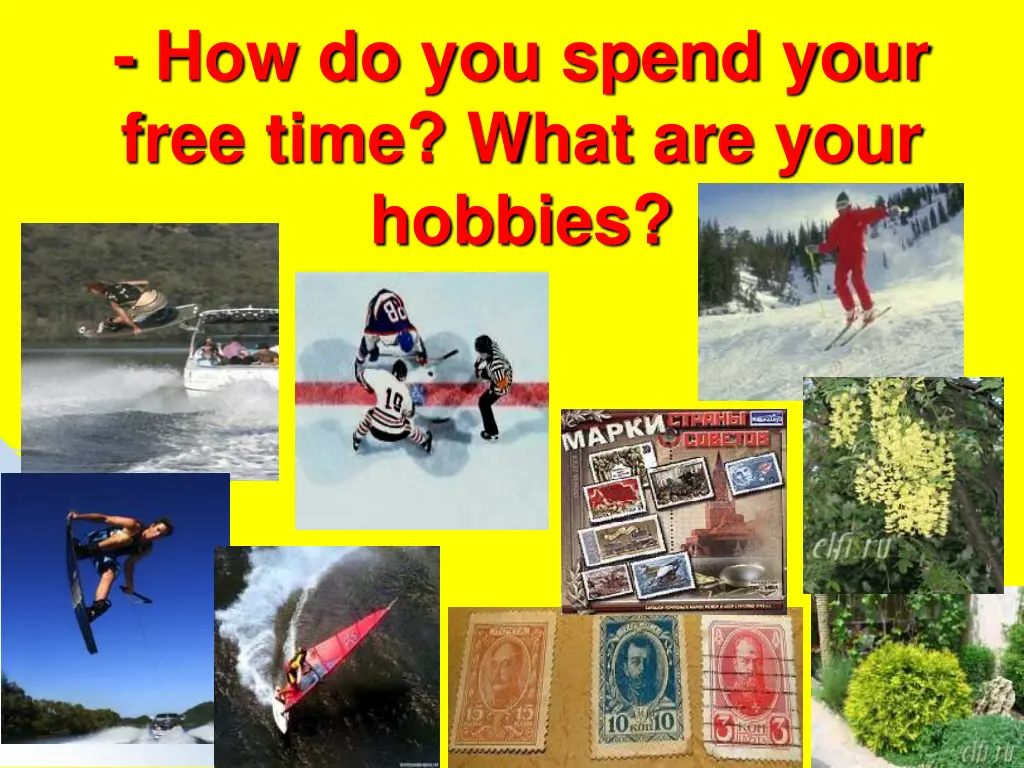 how do you spend your free time what are your