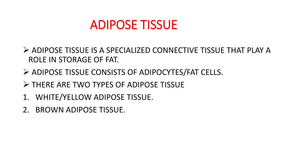 adipose tissue adipose tissue