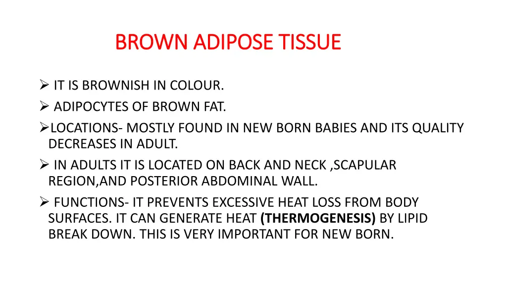 brown adipose tissue brown adipose tissue