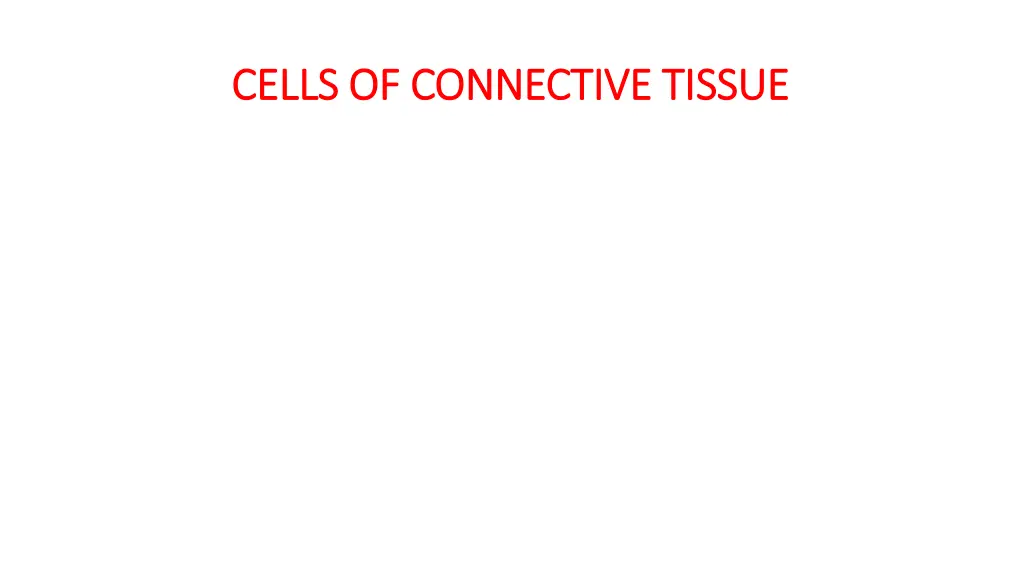 cells of connective tissue cells of connective