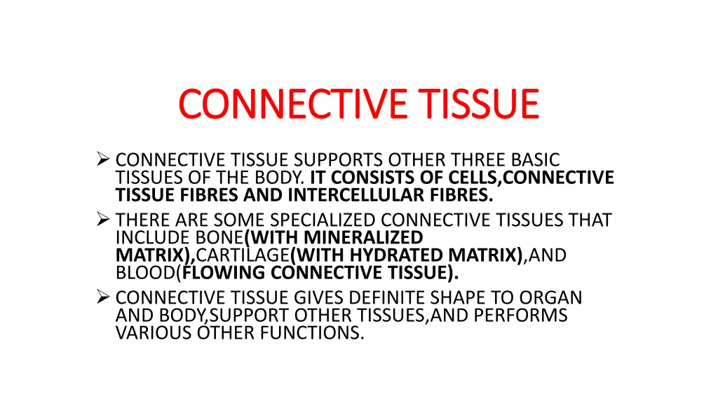 connective tissue connective tissue