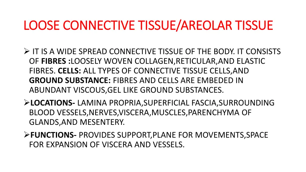 loose connective tissue areolar tissue loose