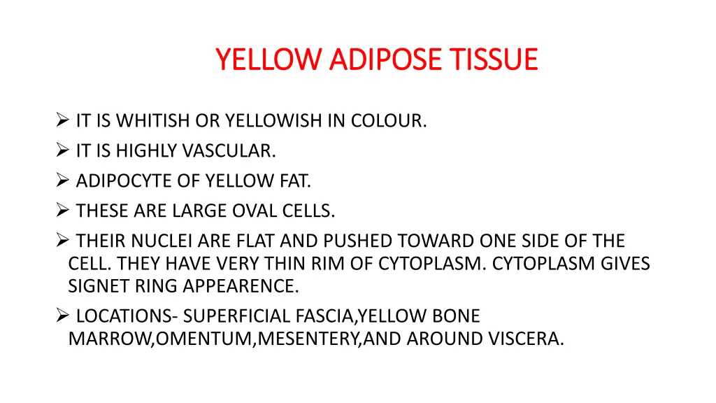 yellow adipose tissue yellow adipose tissue