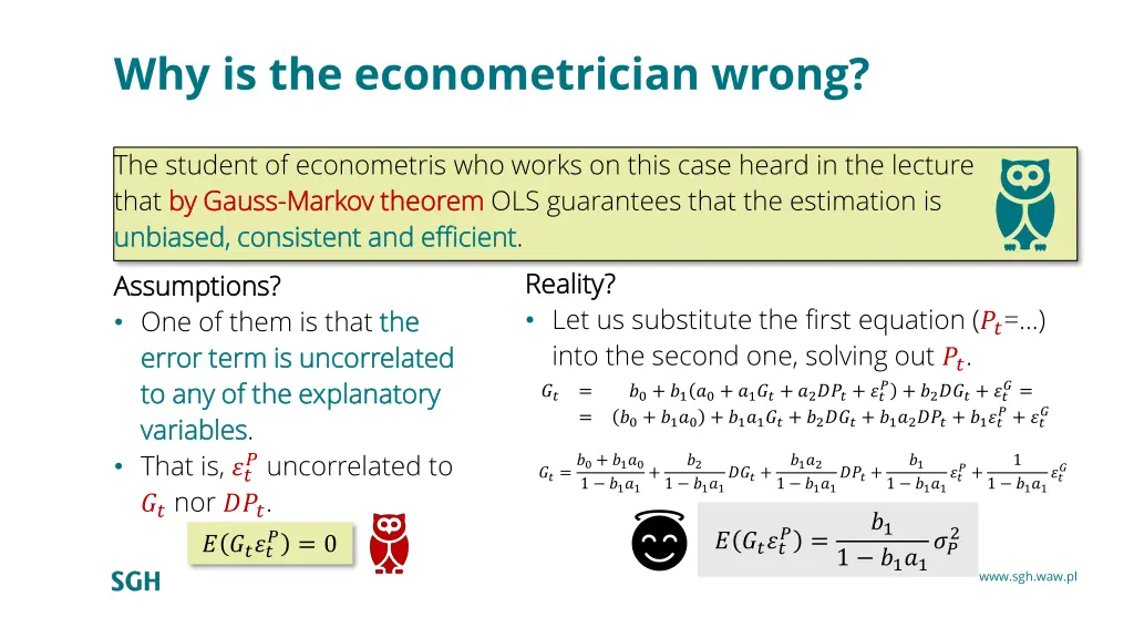 why is the econometrician wrong