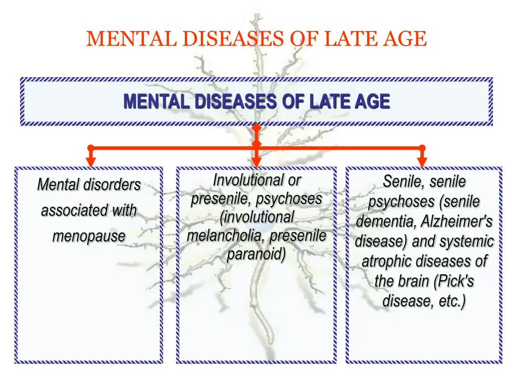 mental diseases of late age 1