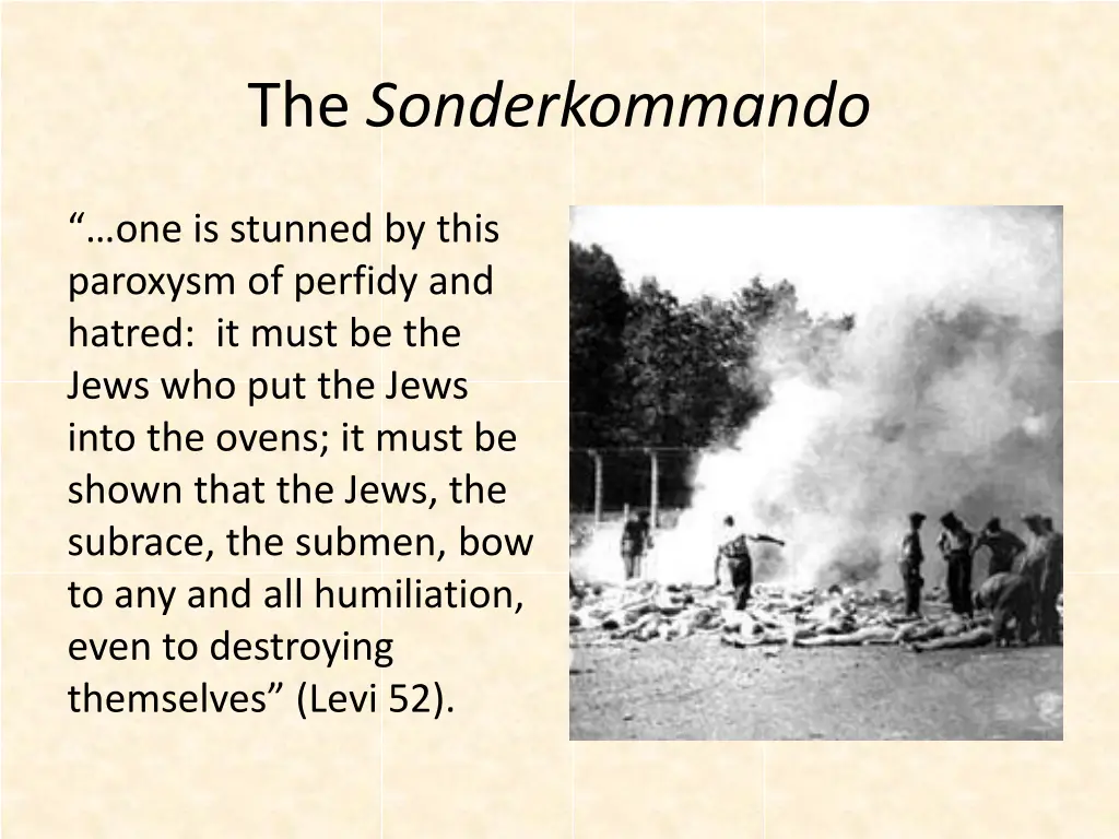 the sonderkommando