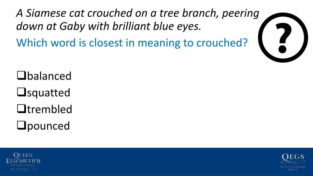 a siamese cat crouched on a tree branch peering