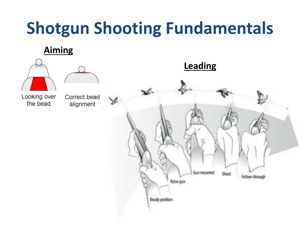 shotgun shooting fundamentals 2