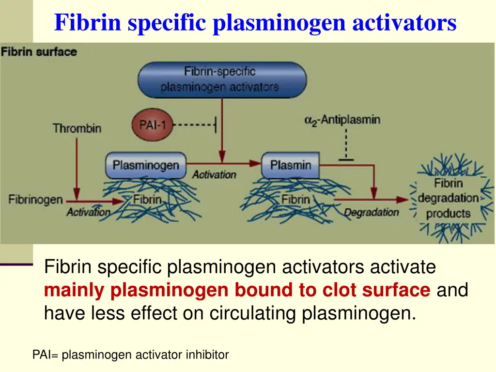 fibrin specific plasminogen activators