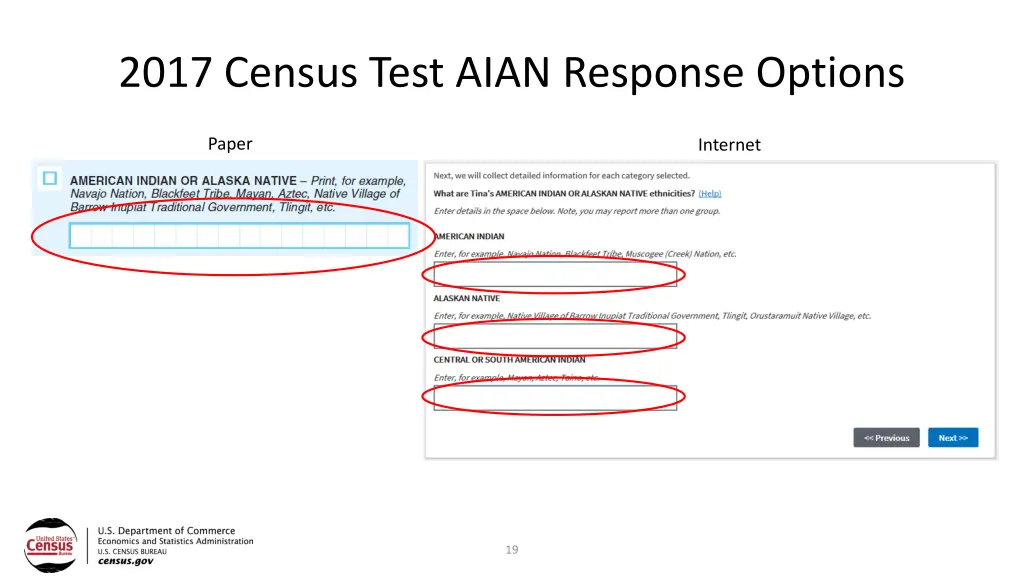 2017 census test aian response options