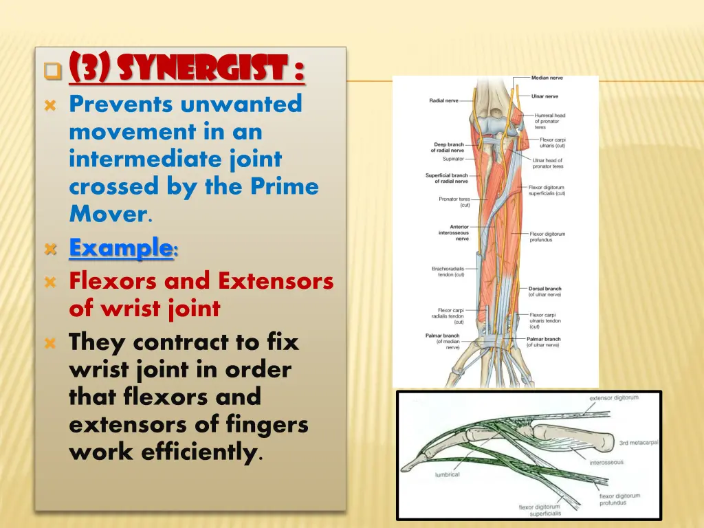 3 synergist 3 synergist prevents unwanted