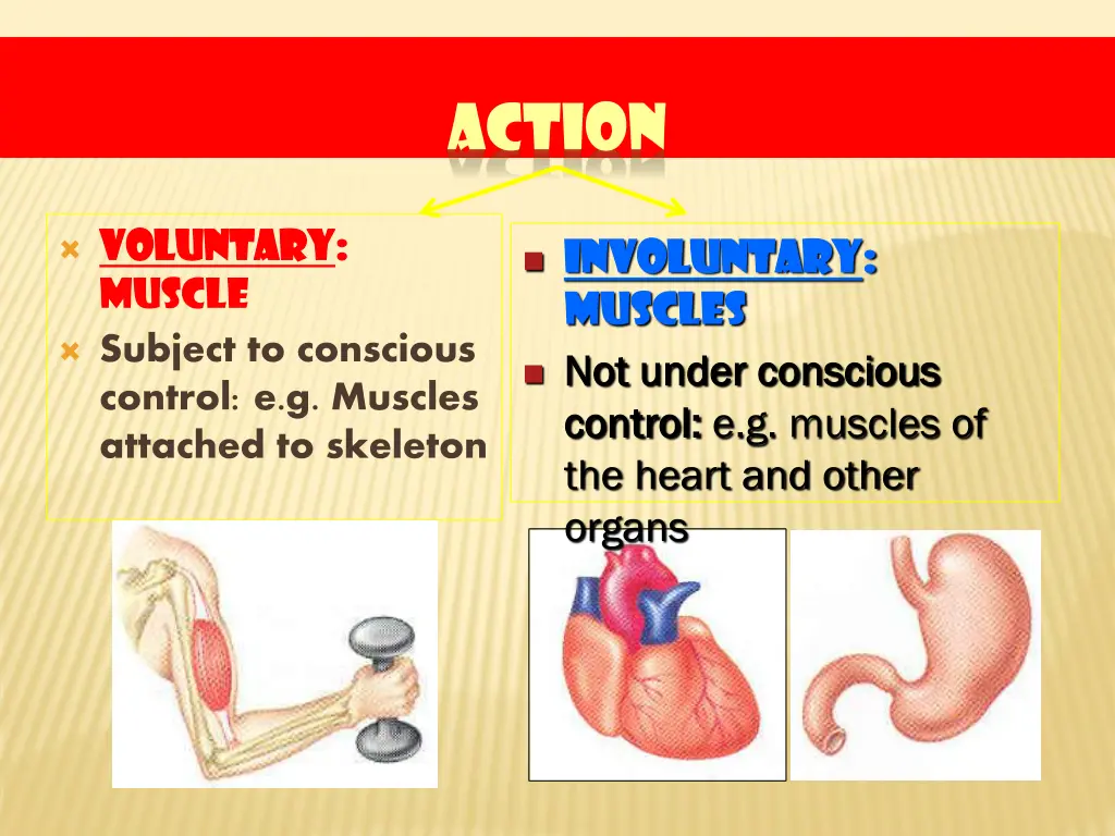 action