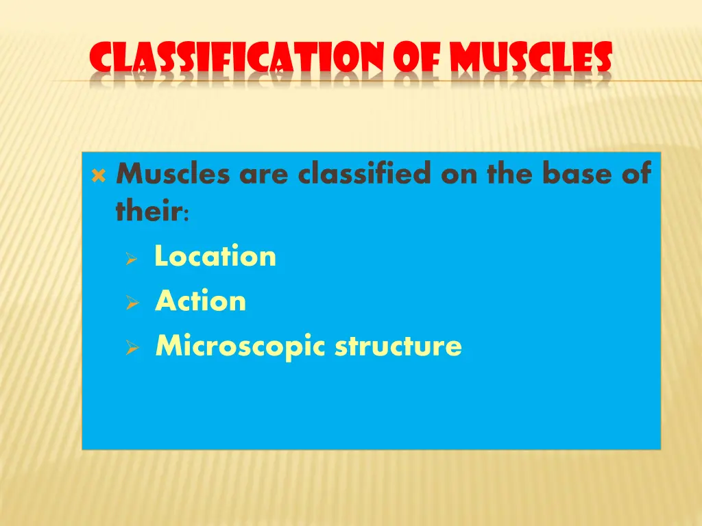 classification of muscles