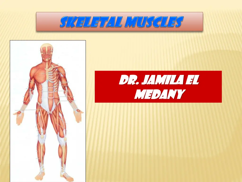 dr dr jamila jamila el medany medany