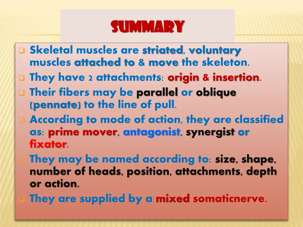 summary summary