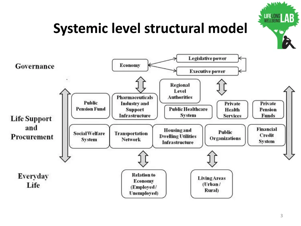 systemic level structural model