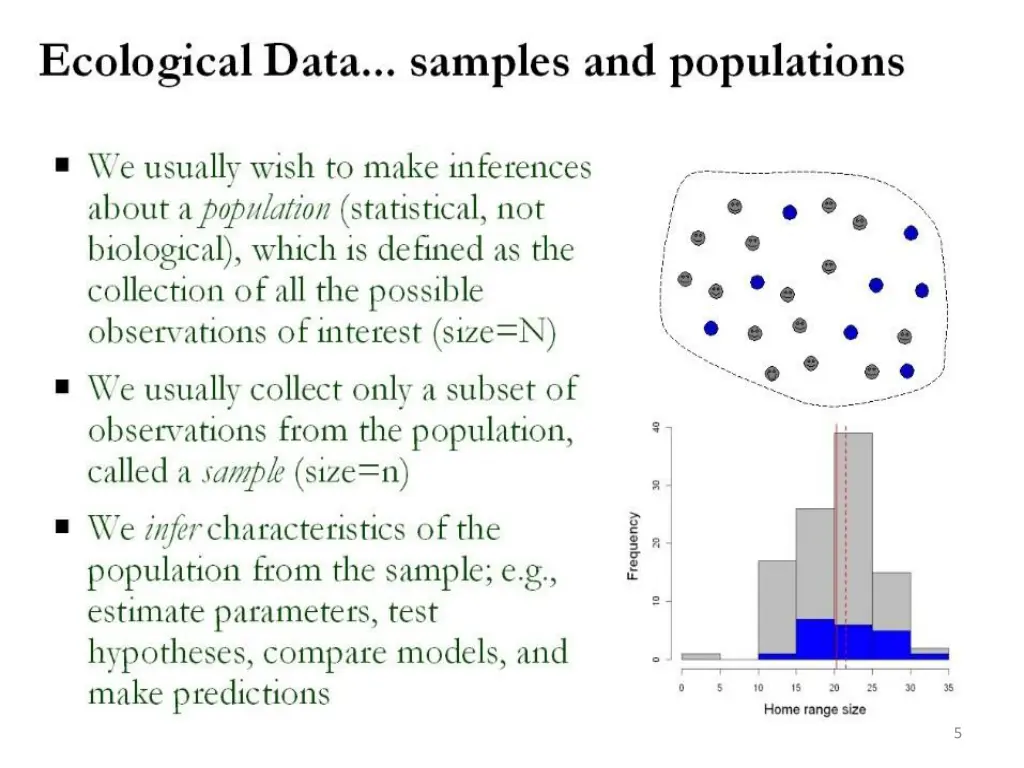 slide5