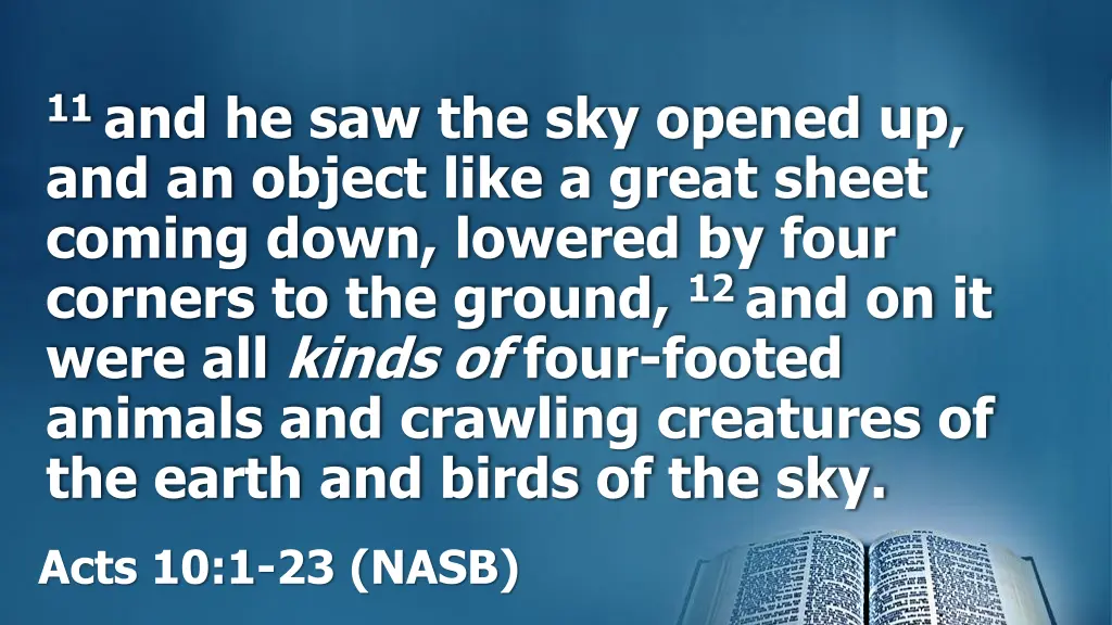 11 and he saw the sky opened up and an object 1