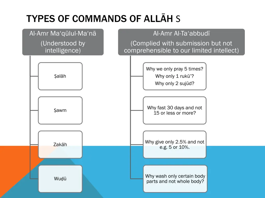 types of commands of all h s