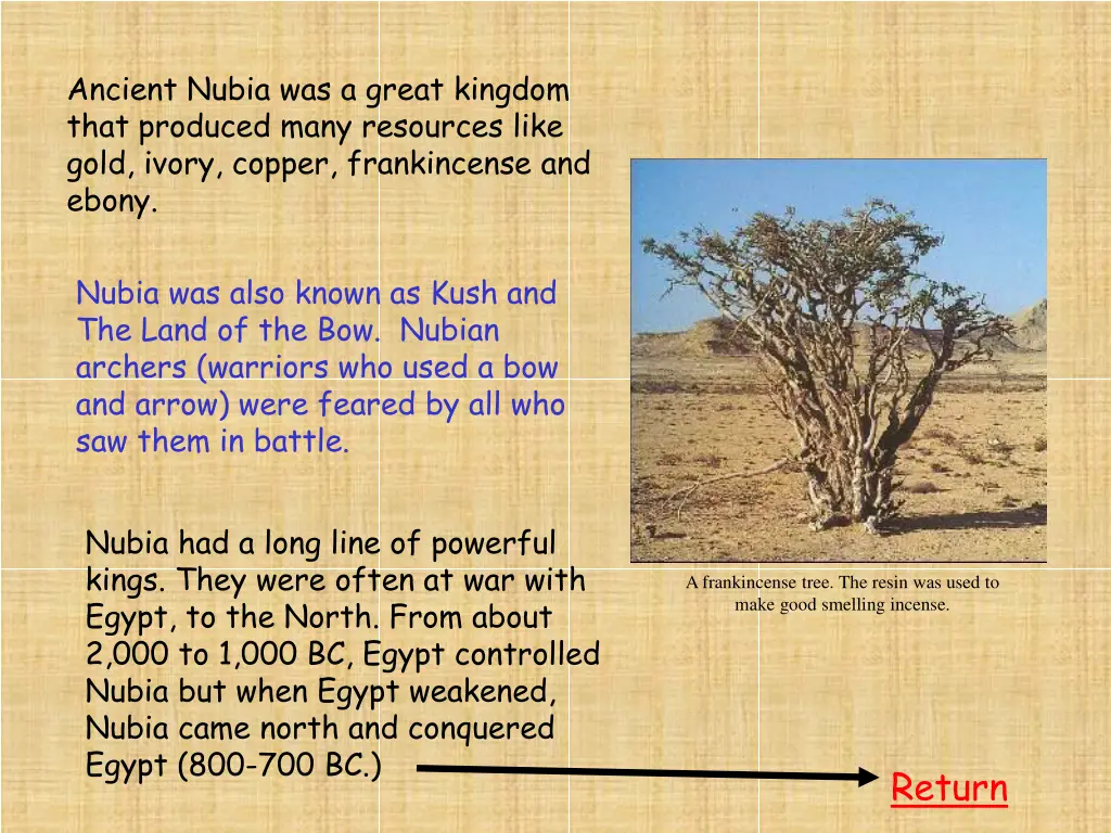 ancient nubia was a great kingdom that produced