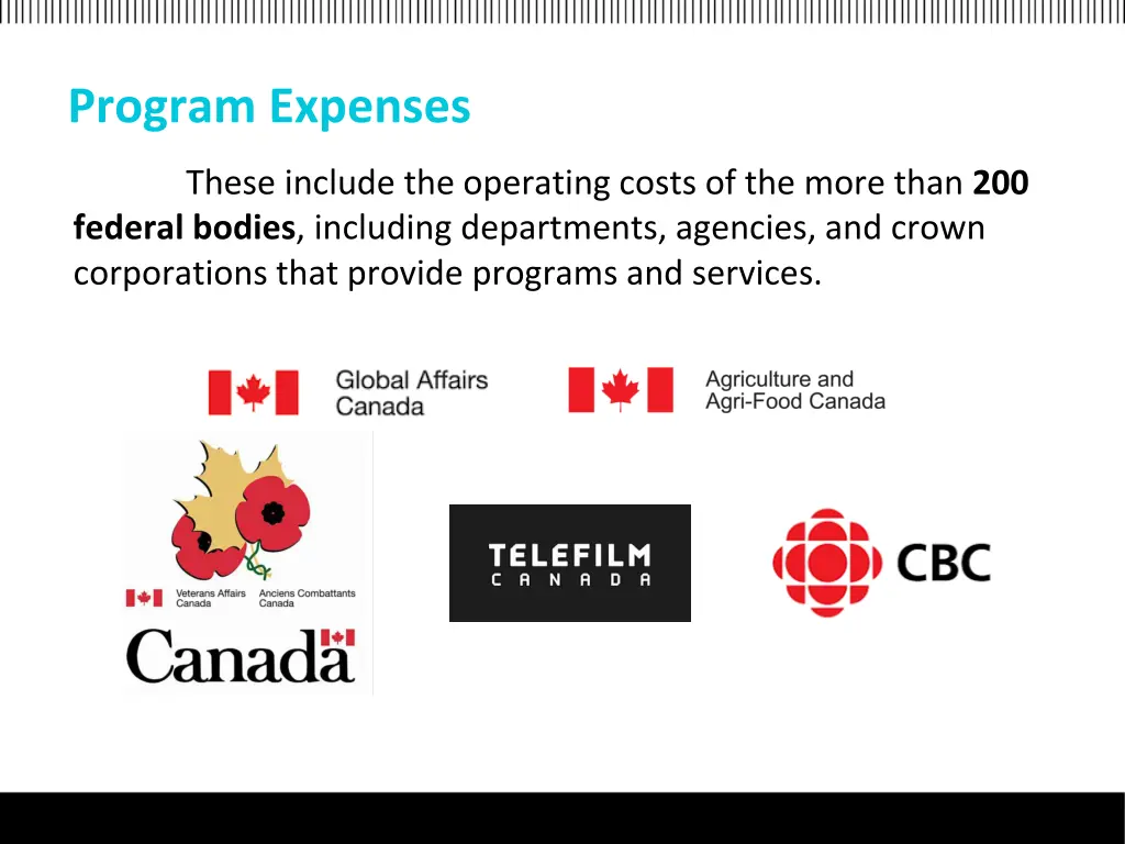 program expenses