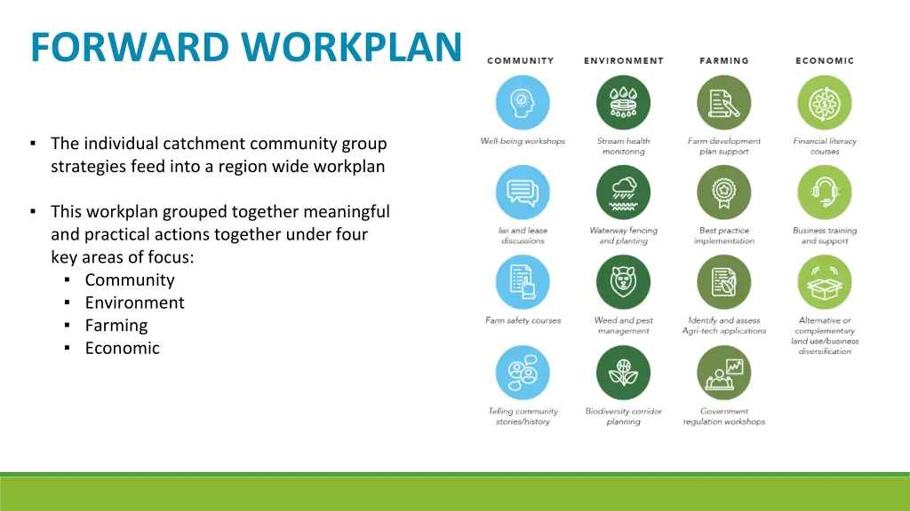 forward workplan