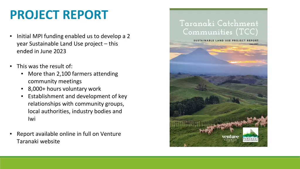 project report