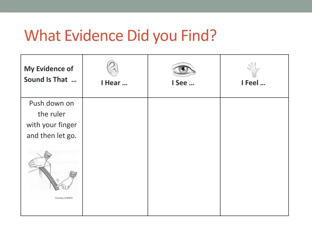 what evidence did you find