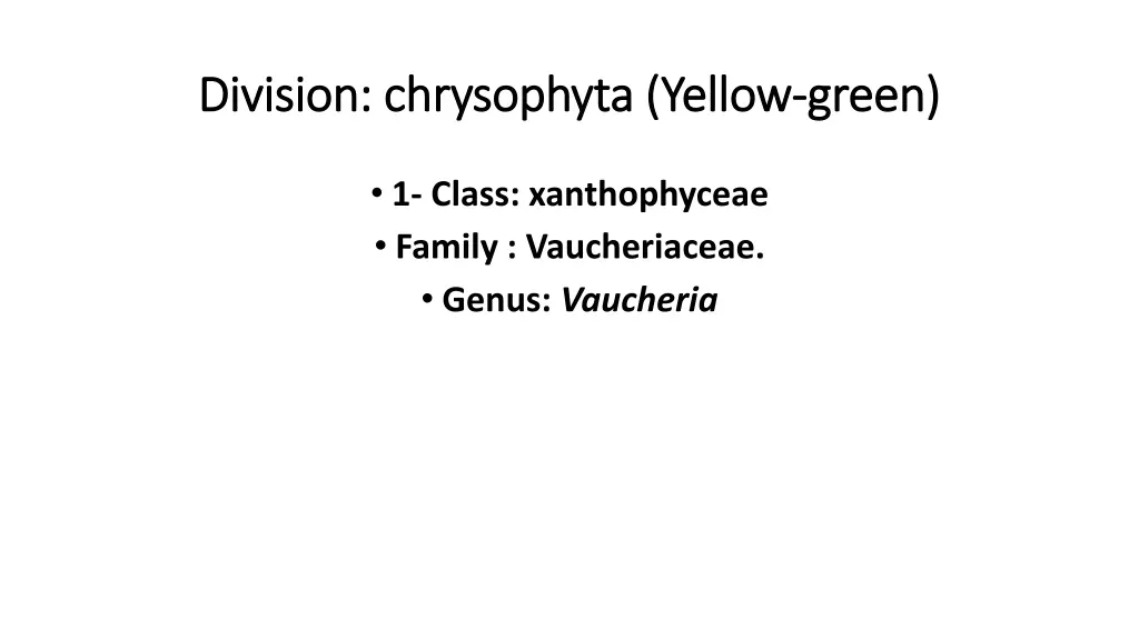 division division chrysophyta chrysophyta yellow