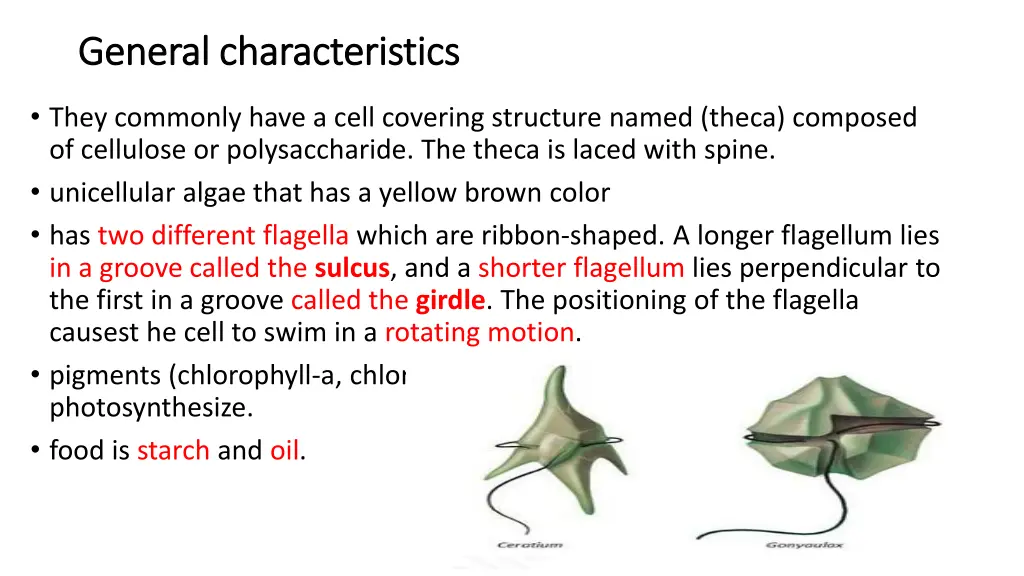 general characteristics general characteristics