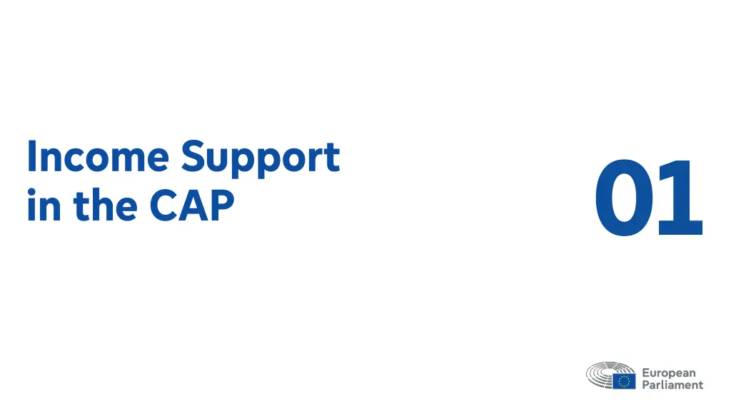 income support in the cap
