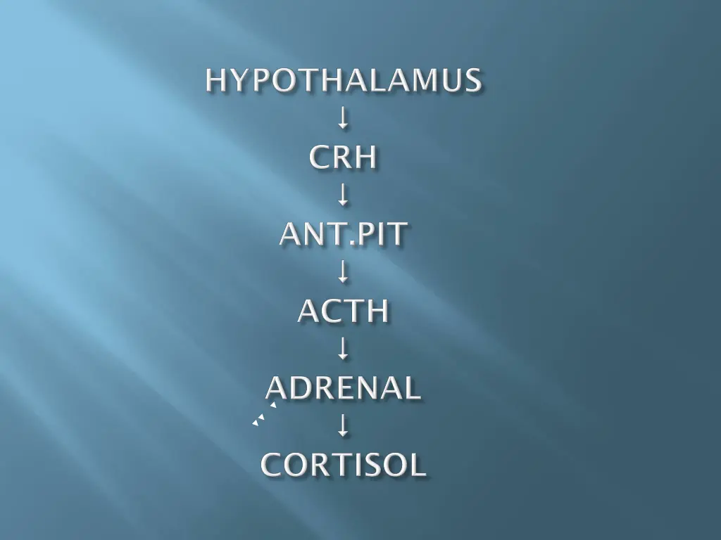 slide5