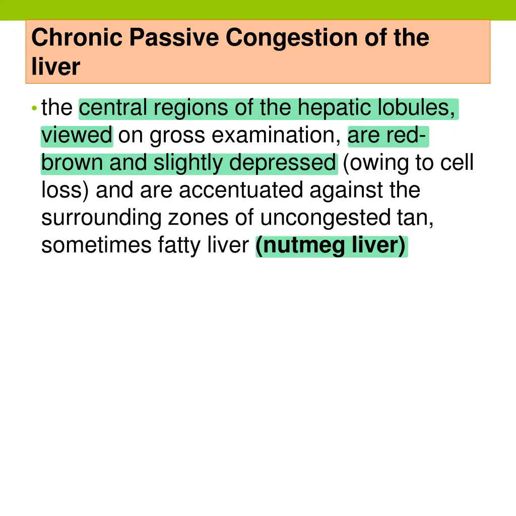 chronic passive congestion of the liver