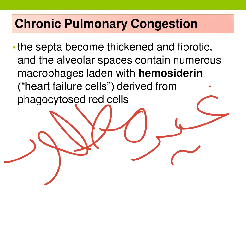 chronic pulmonary congestion