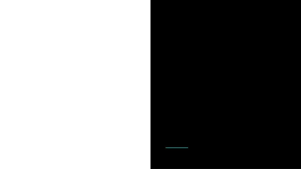 slide29