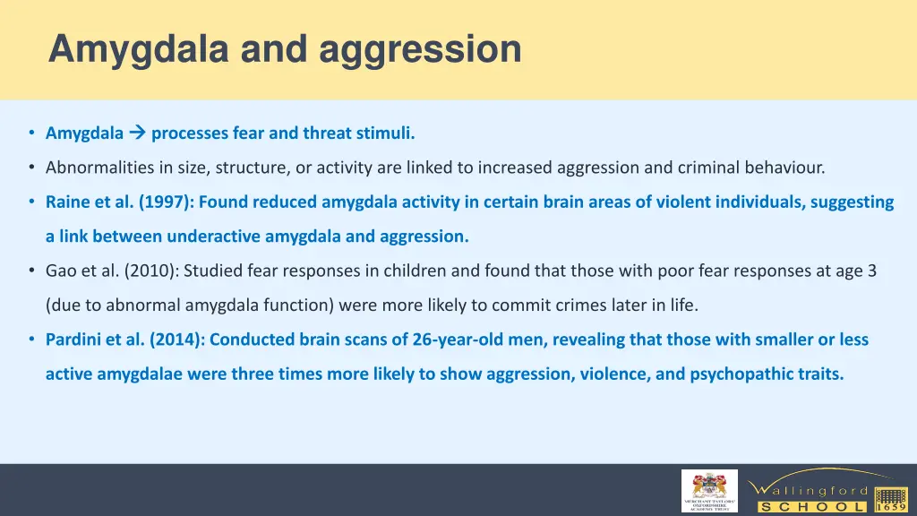 amygdala and aggression