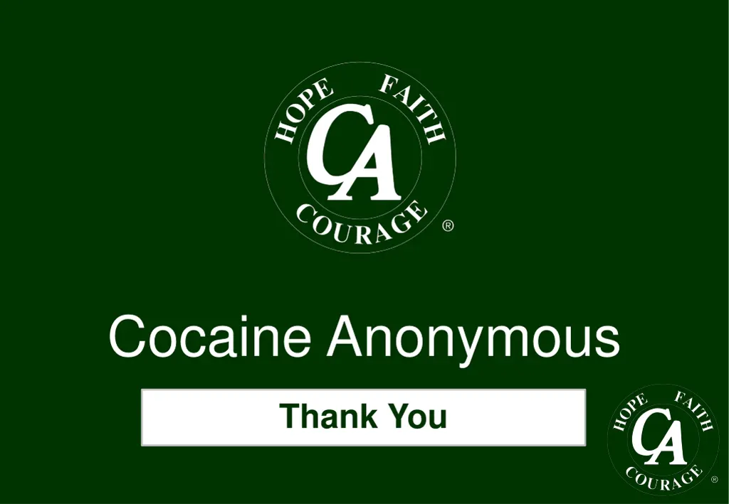cocaine anonymous 2
