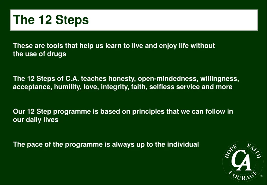 the 12 steps
