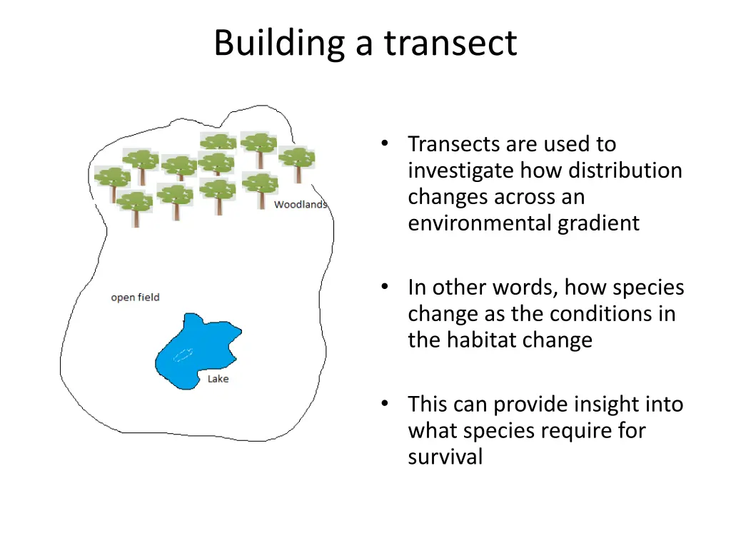 building a transect