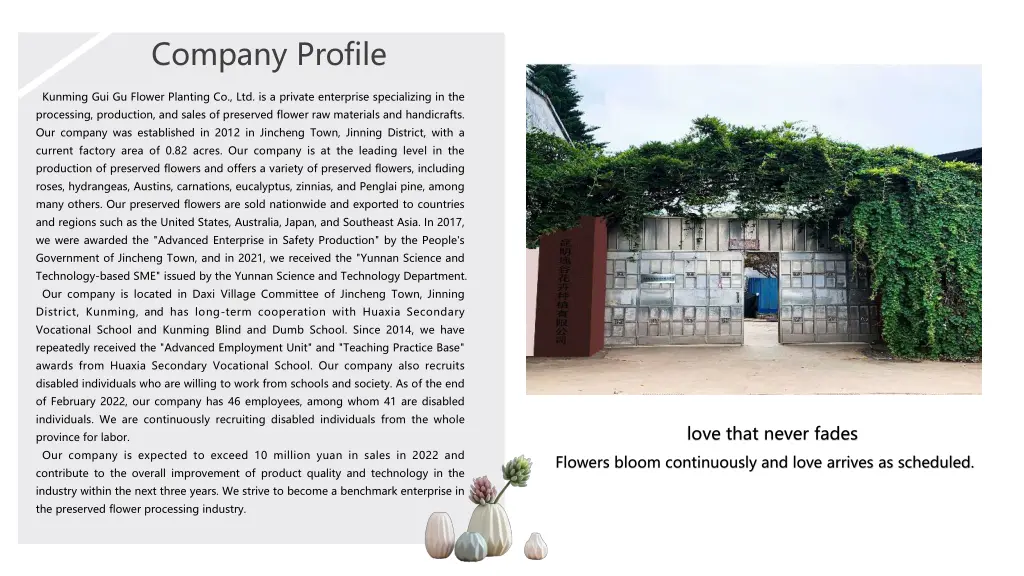 company profile