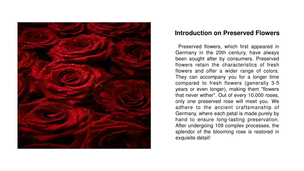 introduction on preserved flowers