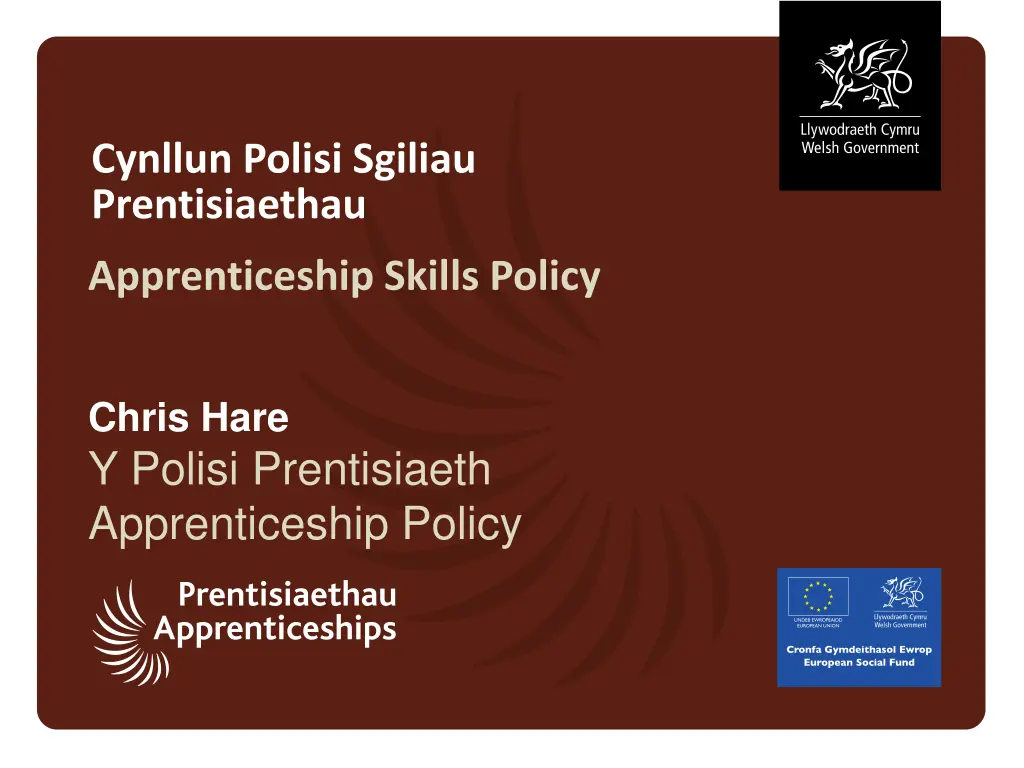 cynllun polisi sgiliau prentisiaethau