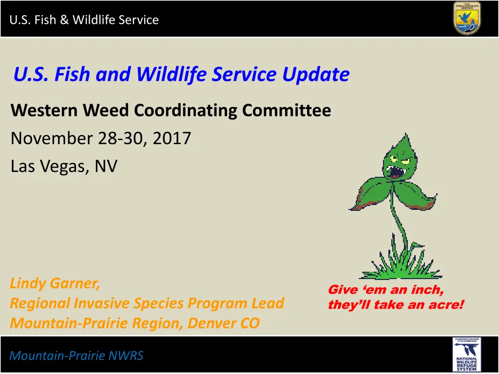 u s fish wildlife service