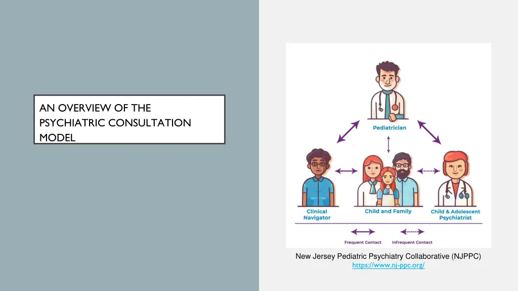 an overview of the psychiatric consultation model