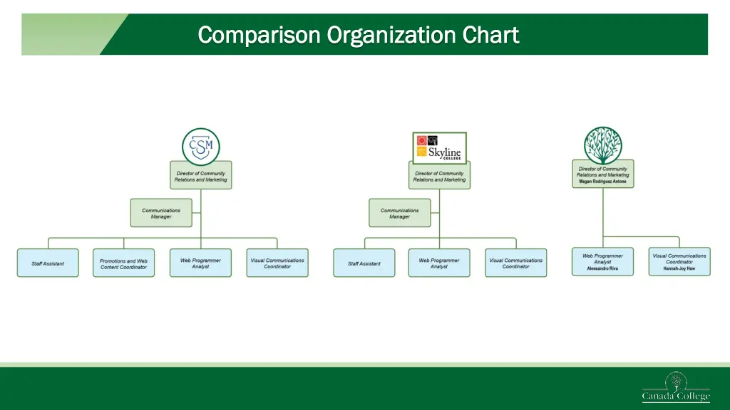 comparison organization chart comparison