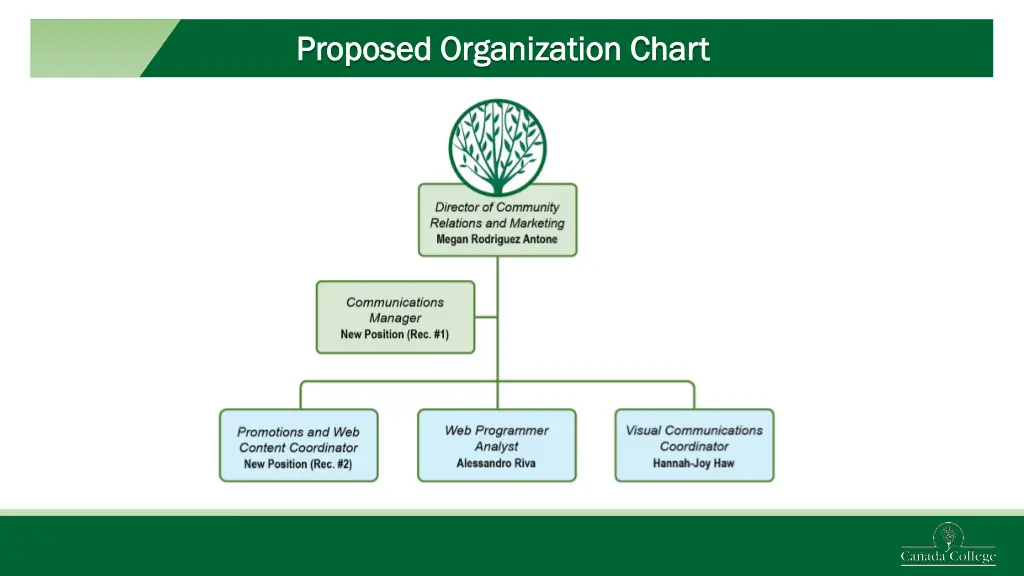 proposed organization chart proposed organization