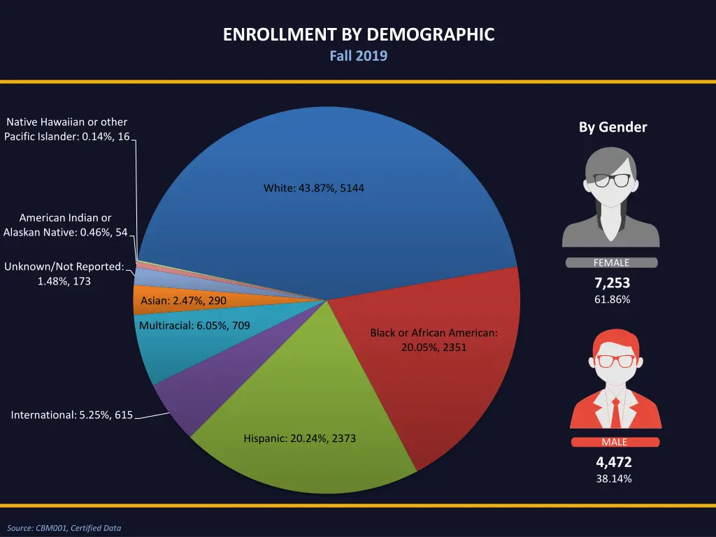 enrollment by demographic fall 2019