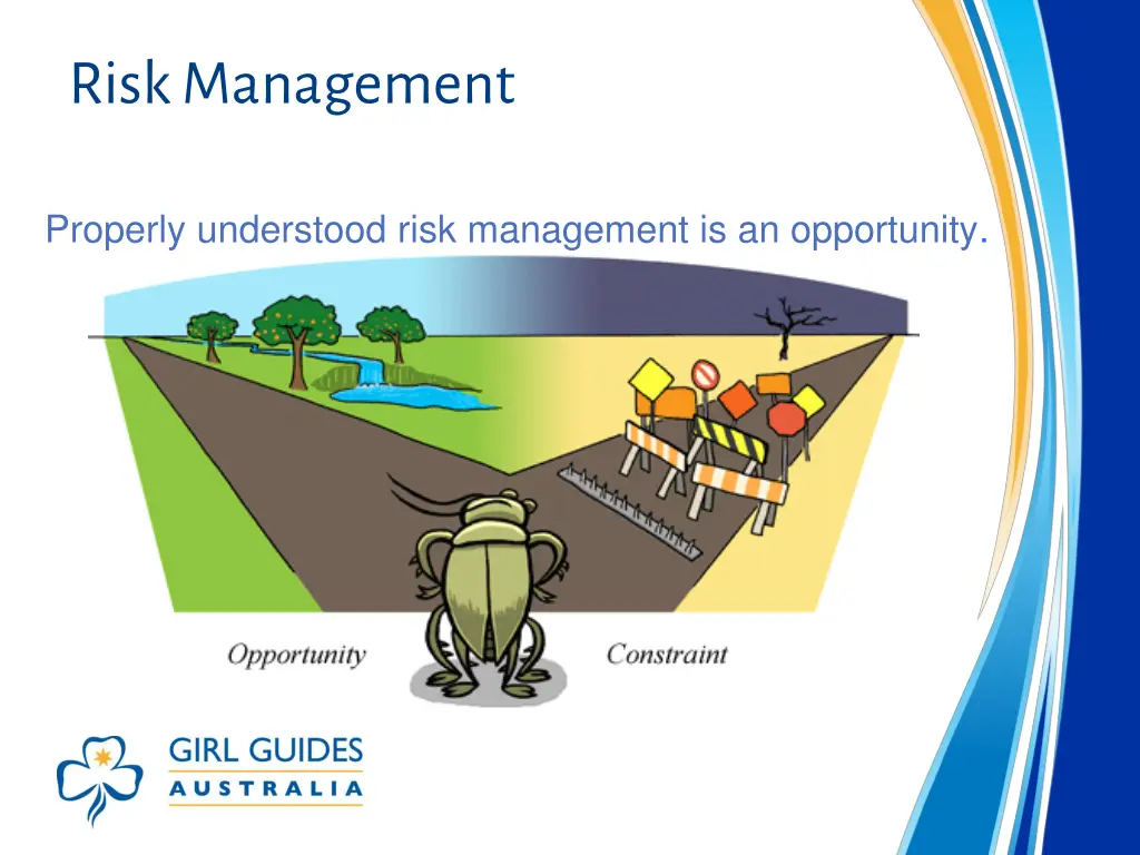 risk management