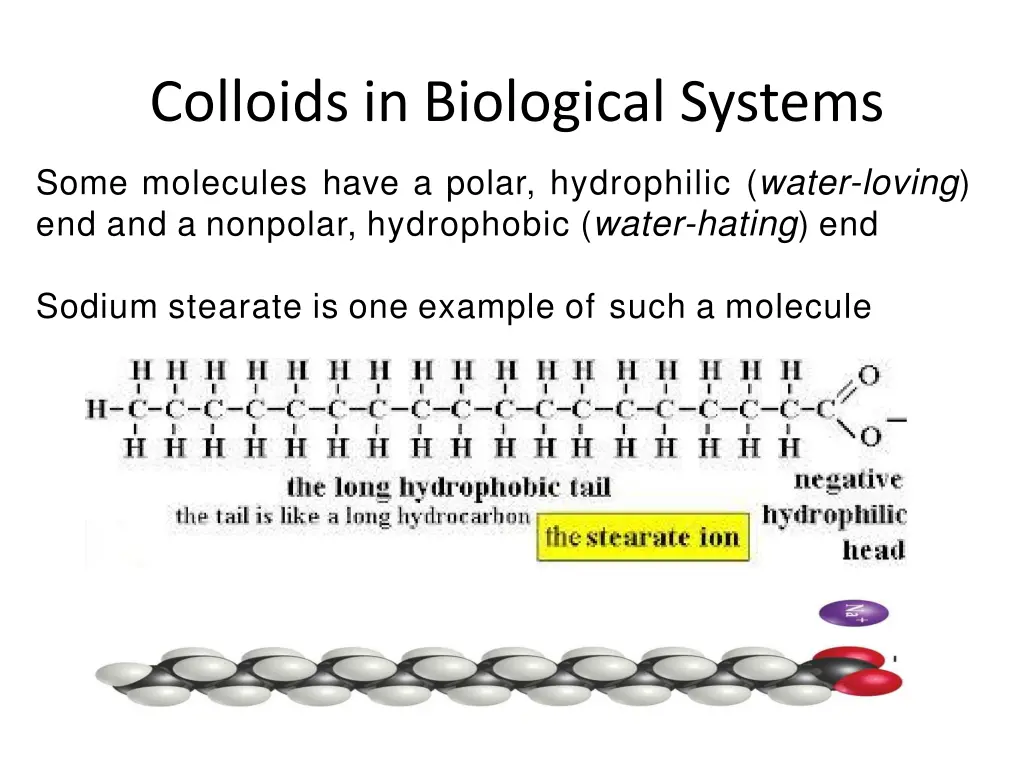 colloids in biological systems