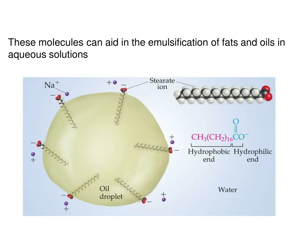 these molecules can aid in the emulsification